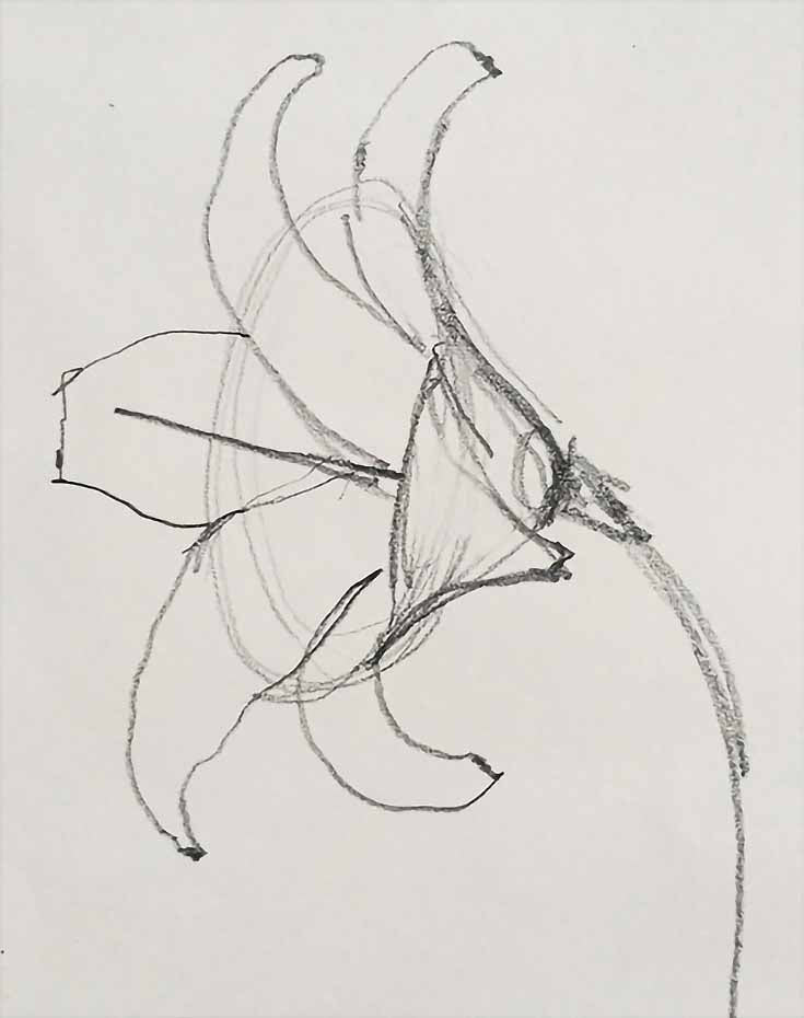 Как лесно да нарисувате роза?
