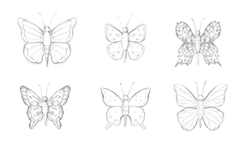 Hoe teken je een prachtige vlinder?