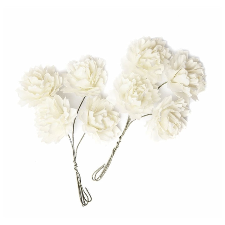DP Craft 3D papieren bloemen wit, set van 8