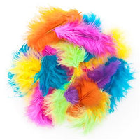 Decoratieve veren DP Craft Exotic 5 g, mix van kleuren