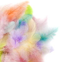 DP Craft decoratieveren pastel 5–12 cm, 5 g