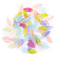DP Craft ganzenveren pastel 6 cm, 5 g