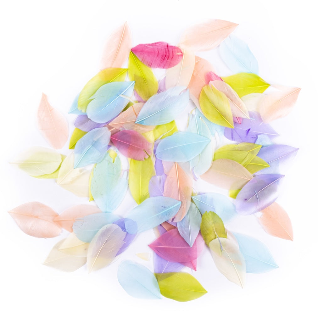 DP Craft ganzenveren pastel 6 cm, 5 g