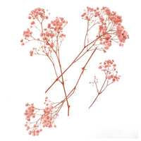 DP Craft gedroogd gipskruid lichtroze, 4 takjes van 20 cm – afbeelding 2