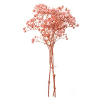 DP Craft gedroogd gipskruid lichtroze, 4 takjes van 20 cm