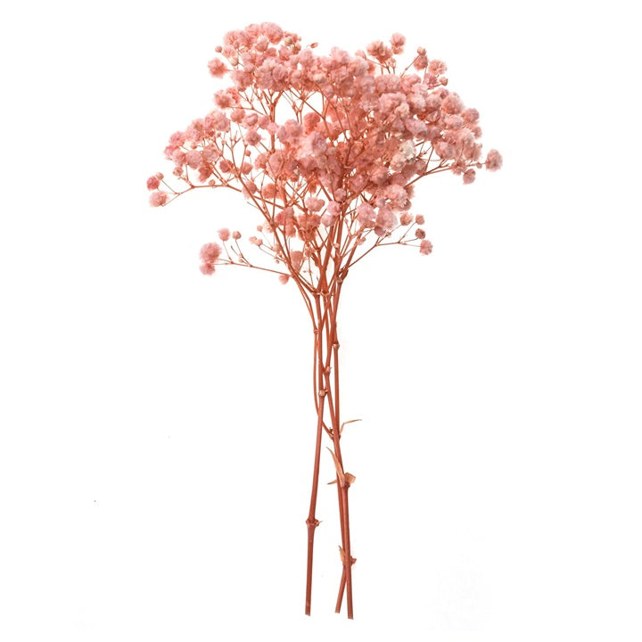 DP Craft gedroogd gipskruid lichtroze, 4 takjes van 20 cm