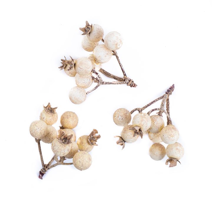 DP Craft 3D decoratietakjes met witte besjes, 6 cm, 3 stuks