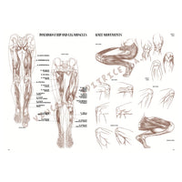 Leonardo Collection 04 Anatomie – boek over anatomie tekenen – afbeelding 6
