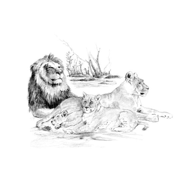 Royal & Langnickel tekenset met voorgetekend onderwerp – afbeelding 5