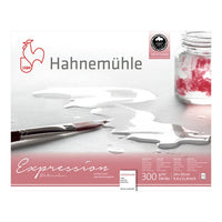Hahnemühle Expression aquarelpapier, 20 vellen, 300 g/m²