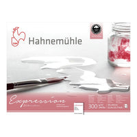 Hahnemühle Expression aquarelpapier, 20 vellen, 300 g/m² – afbeelding 2