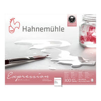 Hahnemühle Expression aquarelpapier, 20 vellen, 300 g/m² – afbeelding 3