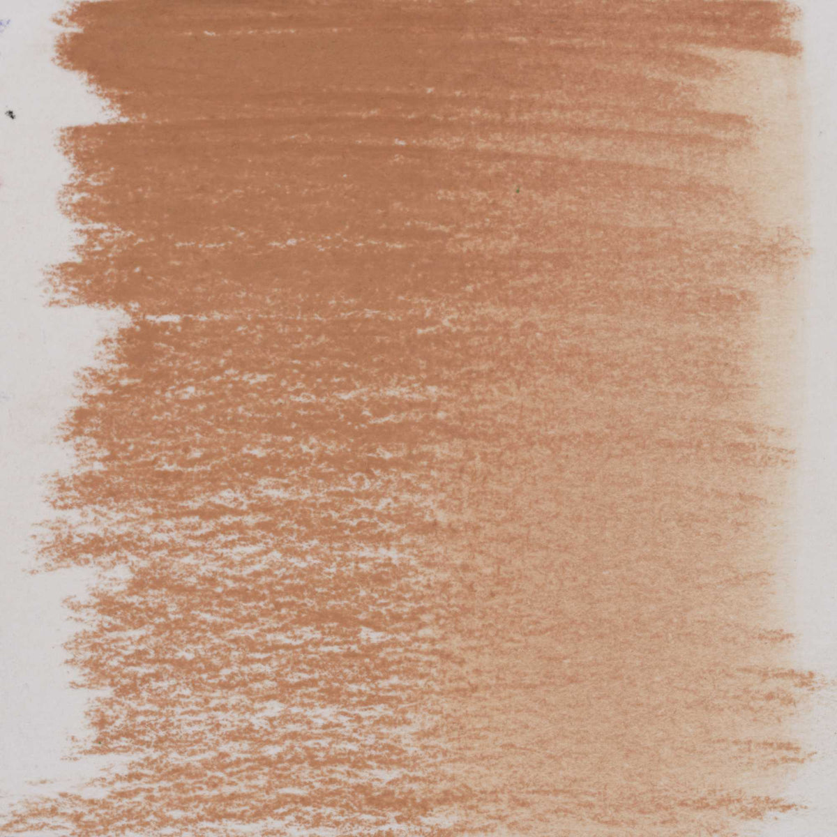 Bruynzeel Design Pastel Pencil – Brown