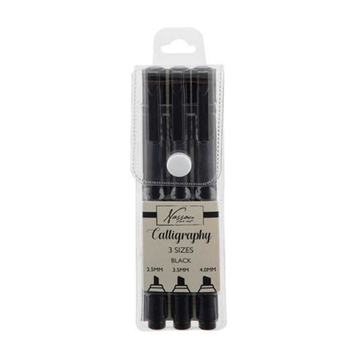 Calligraphy Pens in Case, Set of 3
