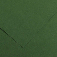Canson Iris Vivaldi gekleurd papier 50 × 65 cm, 240 g/m² – Dennengroen 31