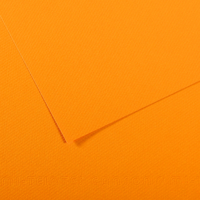CANSON Mi-Teintes Pastel Paper 50 x 65 cm 160 g 25 Sheets