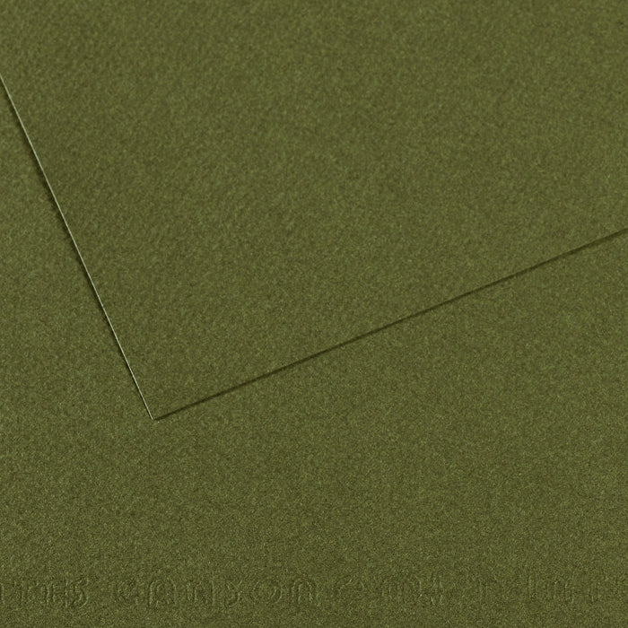 CANSON Mi-Teintes Pastel Paper 50 x 65 cm 160 g 25 Sheets – Ivy 448