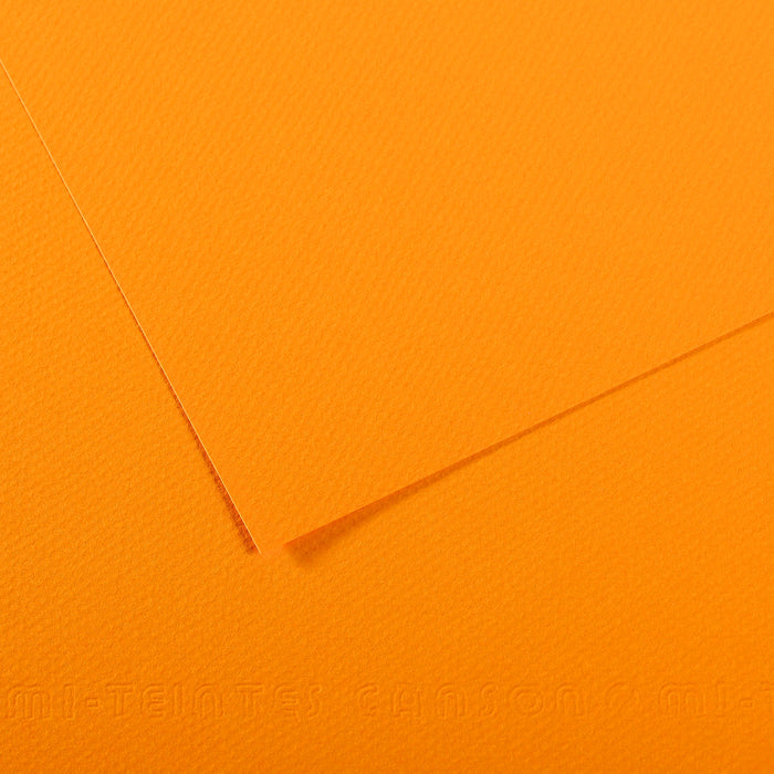 Canson Mi-Teintes pastelpapier 50 × 65 cm, 160 g/m², 25 vel