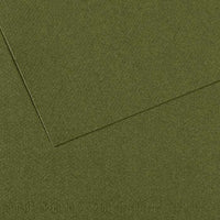 Canson Mi-Teintes pastelpapier A3 – 160 g/m², 10 vel – Klimop 448