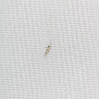 Canvas on a Roll, 2nd Quality | various widths — image 5