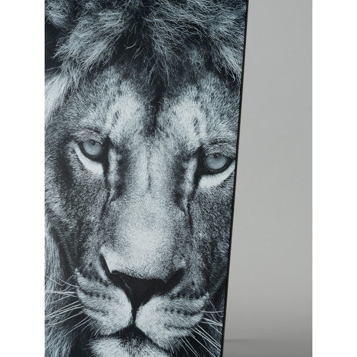 Foamboard zwart Airplac 3 mm, 50 × 65 of 70 × 100 cm – afbeelding 4