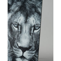 Foamboard zwart Airplac 3 mm, 50 × 65 of 70 × 100 cm – afbeelding 4
