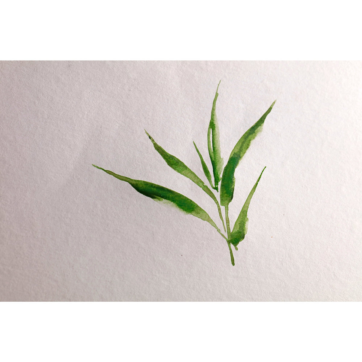 Clairefontaine bamboe aquarelblok 250 g/m², 20 vel