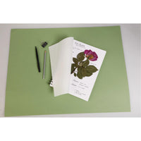 Clairefontaine herbarium 21 × 21 cm, 180 g/m², 32 vel