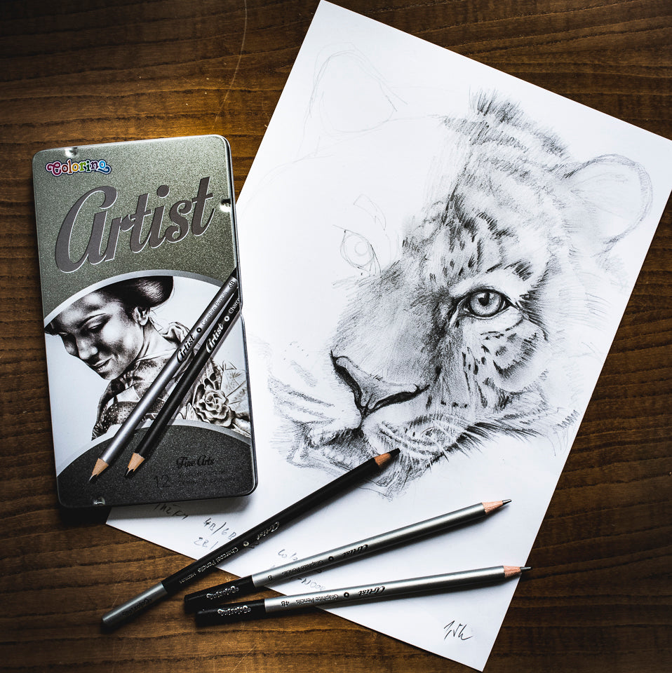 Colorino Artist tekenset met grafietpotloden en houtskool