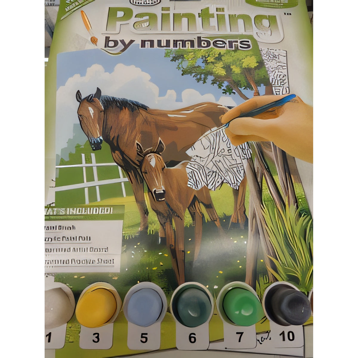 Creative Painting Set - Horse and Foal