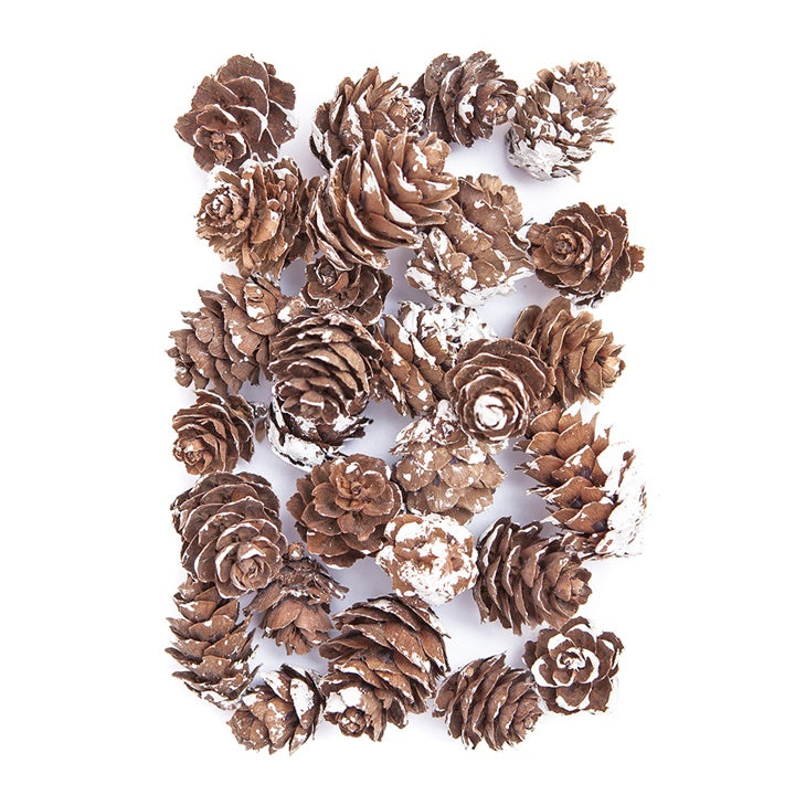 Decorative mini pine cones covered in snow