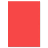 Folia fotokarton 50 × 70 cm, 220 g/m² – afbeelding 4