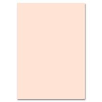 Folia fotokarton 50 × 70 cm, 220 g/m² – afbeelding 5