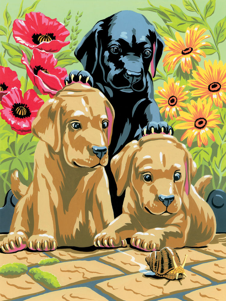 Royal & Langnickel schilderen op nummer A4 – labradorpups