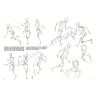 Leonardo Collection 02 Fundamentals of Drawing — image 3