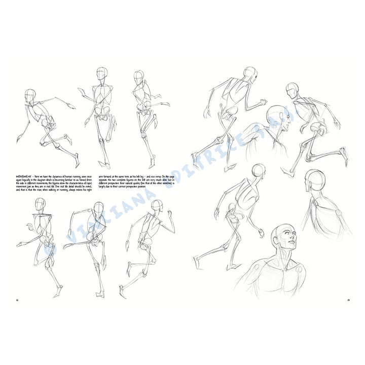 Leonardo Collection 02 tekenboek – De menselijke figuur – afbeelding 3