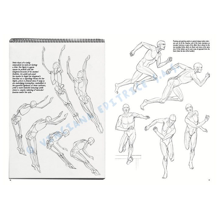 Leonardo Collection 02 tekenboek – De menselijke figuur – afbeelding 4