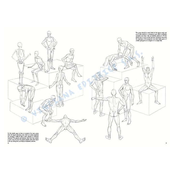 Leonardo Collection 02 tekenboek – De menselijke figuur – afbeelding 5