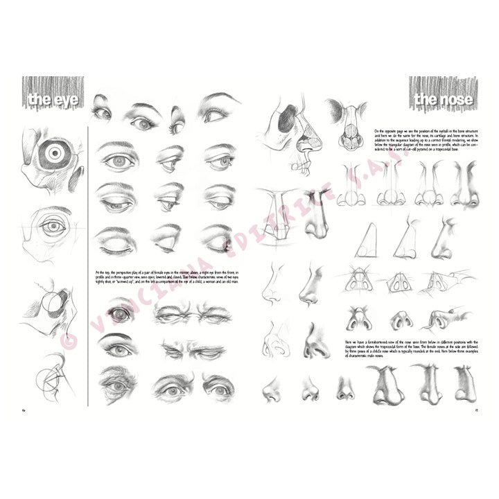 Leonardo Collection 03 Drawing Basics — image 4
