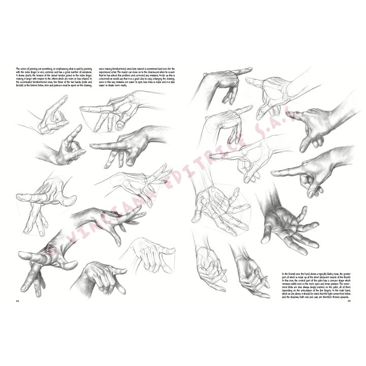 Tekenboek Leonardo Collection 03 Basis tekenen, 24,4 × 34,4 cm – afbeelding 4