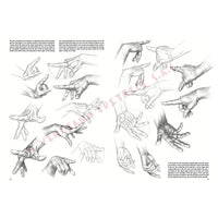 Tekenboek Leonardo Collection 03 Basis tekenen, 24,4 × 34,4 cm – afbeelding 4