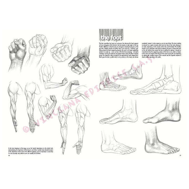 Tekenboek Leonardo Collection 03 Basis tekenen, 24,4 × 34,4 cm – afbeelding 5