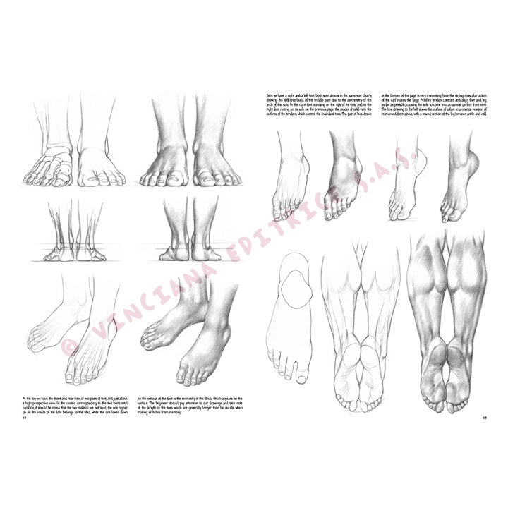 Tekenboek Leonardo Collection 03 Basis tekenen, 24,4 × 34,4 cm – afbeelding 6