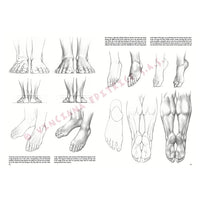 Tekenboek Leonardo Collection 03 Basis tekenen, 24,4 × 34,4 cm – afbeelding 6