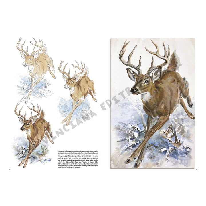 Leonardo Collection 13 Animals — image 2