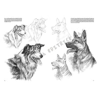 Leonardo Collection 13 tekenboek – Dieren – afbeelding 6