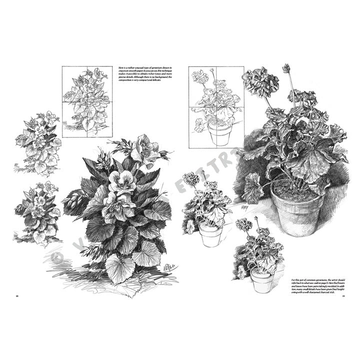 Leonardo Collection 21 tekenboek – Bloemen – afbeelding 4