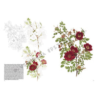 Leonardo Collection 42 Roses - image 4