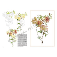 Leonardo Collection 42 Roses - image 5