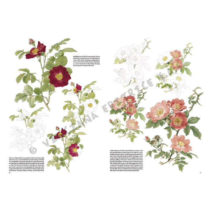 Leonardo Collection 42 tekenboek – Rozen – afbeelding 3